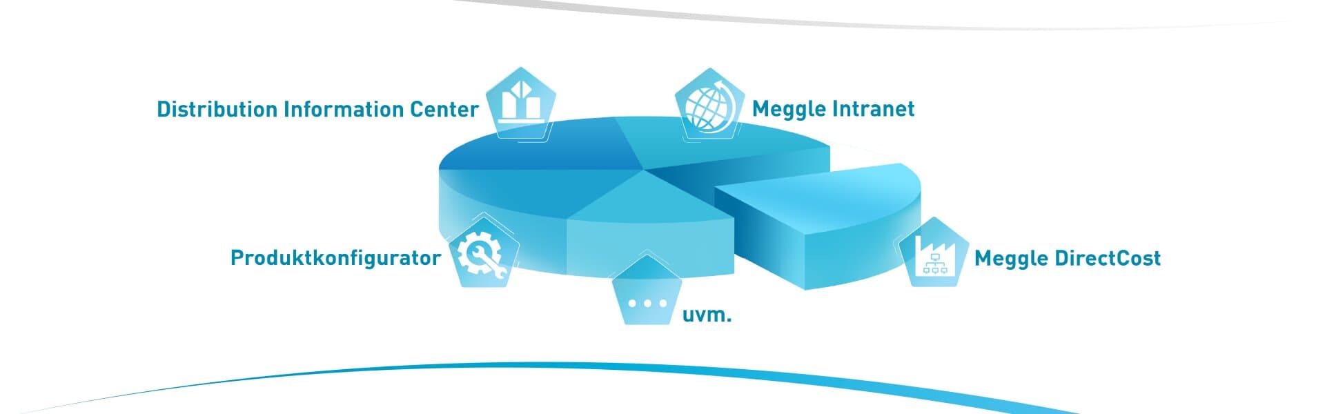 MEGGLE DirectCost Application